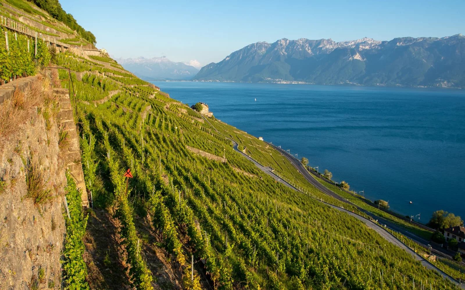 Die Rebterrassen des Lavaux am Genfersee