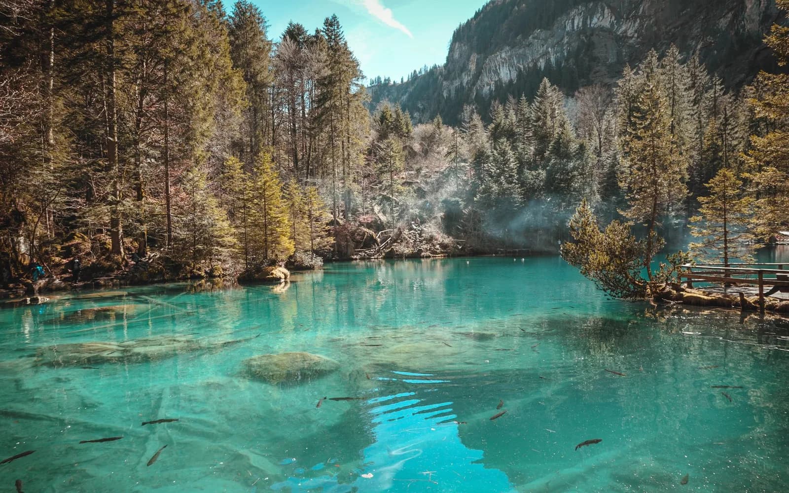 Der Blausee im Berner Oberland