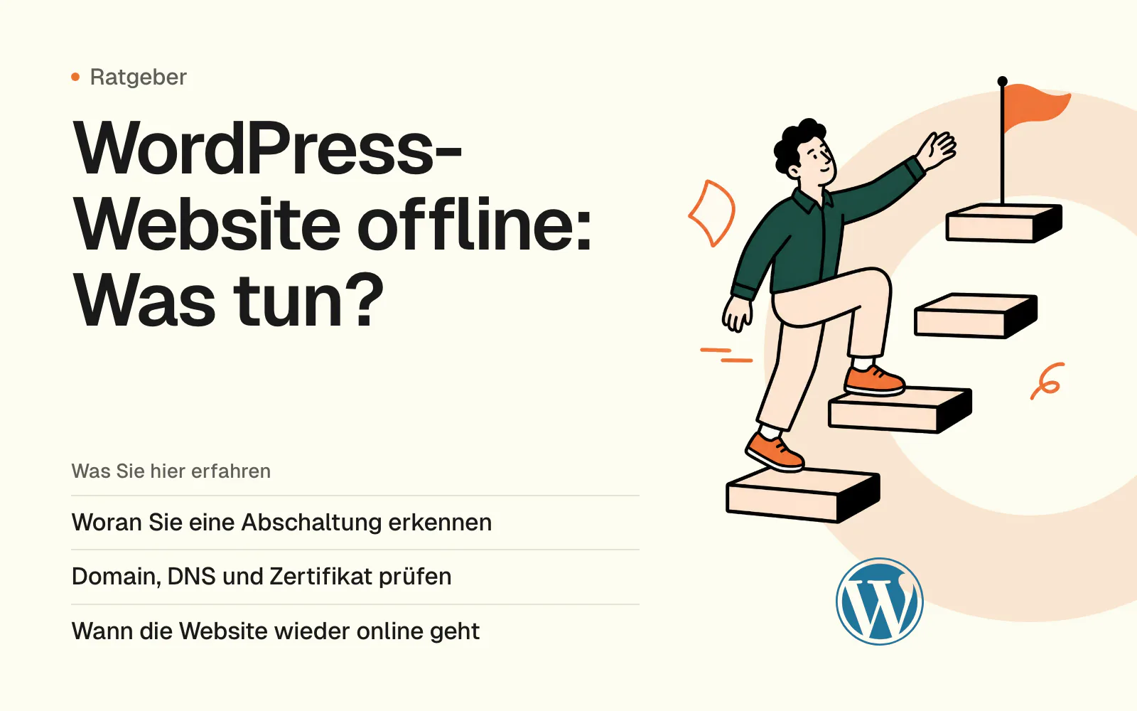 WordPress-Website offline: Was tun?