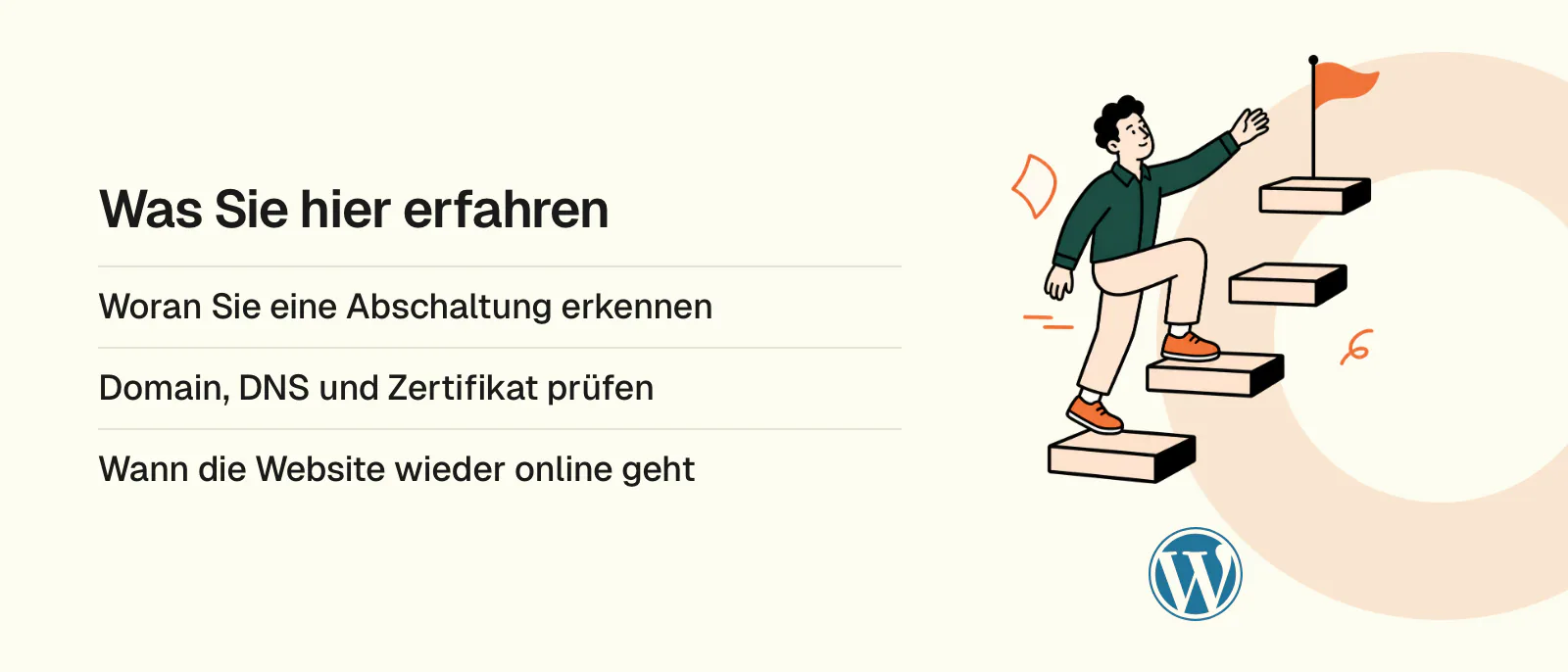 Was Sie hier erfahren: Woran Sie eine Abschaltung erkennen, Domain, DNS und Zertifikat prüfen, Wann die Website wieder online geht. Logos: WordPress