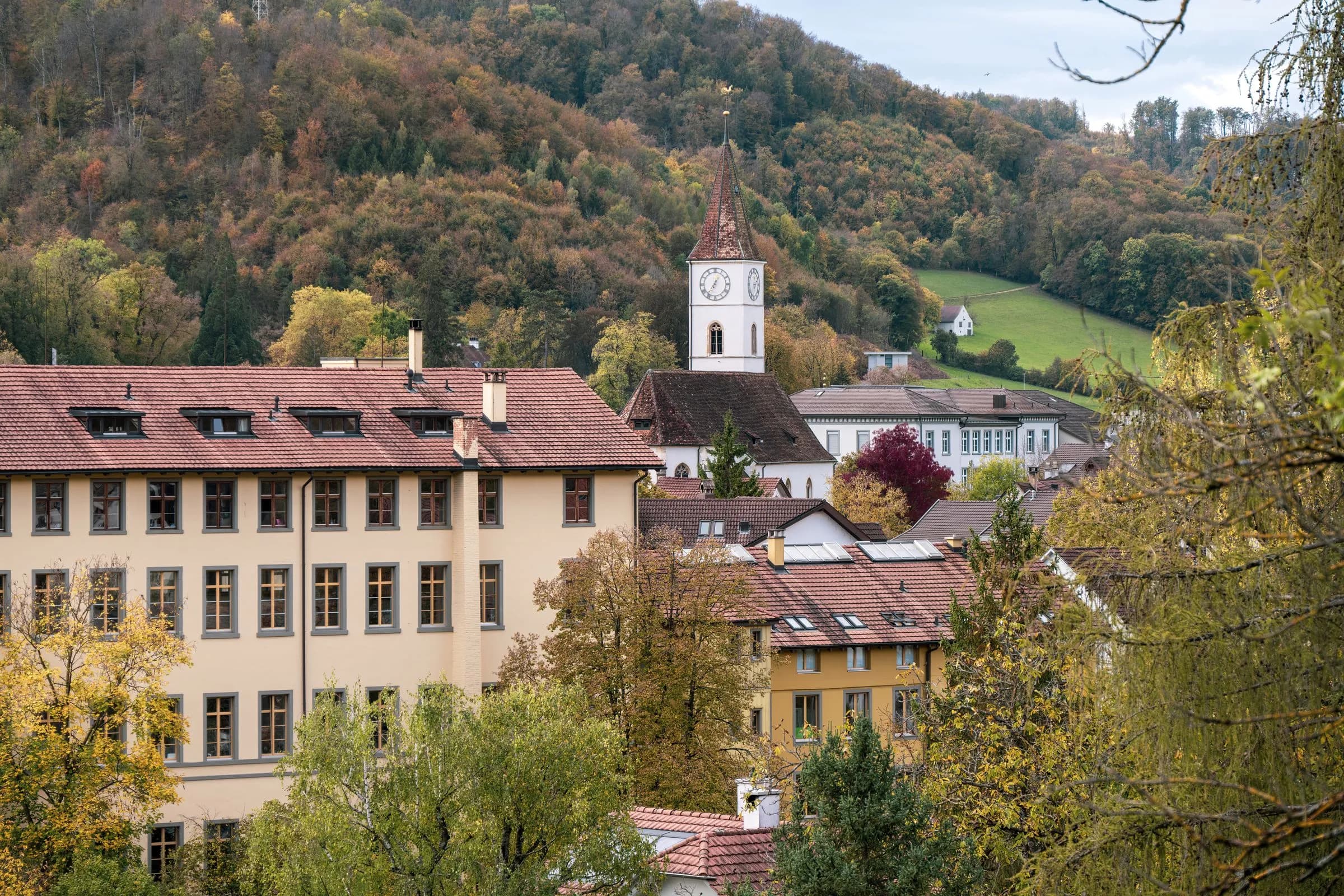 Sissach im Baselbiet, umgeben von Wald
