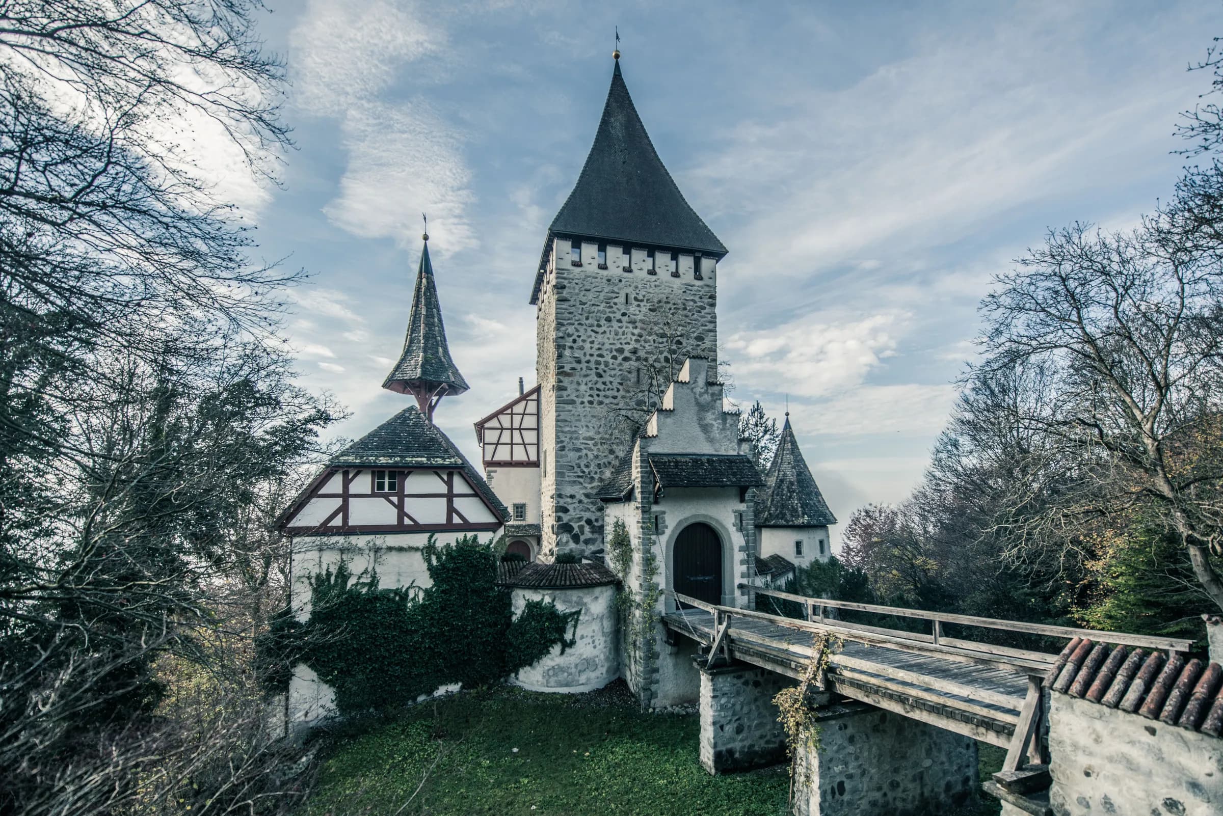 Schloss Weinfelden im Thurgau